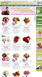 Mobile Screenshot of eflorashop.it