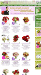 Mobile Screenshot of eflorashop.net